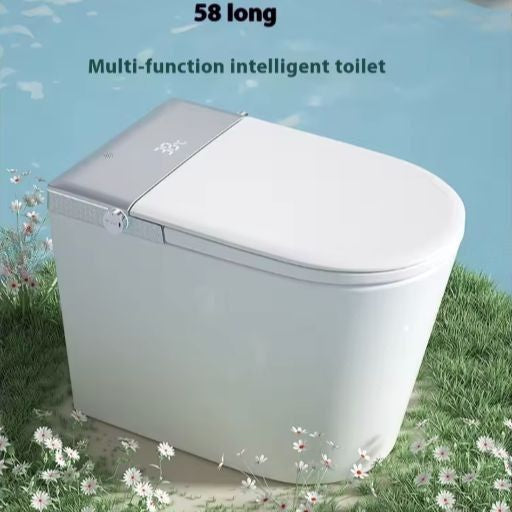 Smart Toilet with Bidet — Heated Seat, Auto Flush, Remote Control